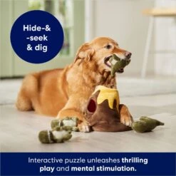 Frisco Volcano Hide & Seek Puzzle Plush Squeaky Dog Toy -Dog Supplies 152810 PT3. AC SS1800 V1686079871