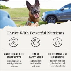 American Journey Protein & Grains Senior Chicken, Brown Rice & Vegetables Recipe Dry Dog Food -Dog Supplies 153933 PT4. AC SS1800 V1668736315