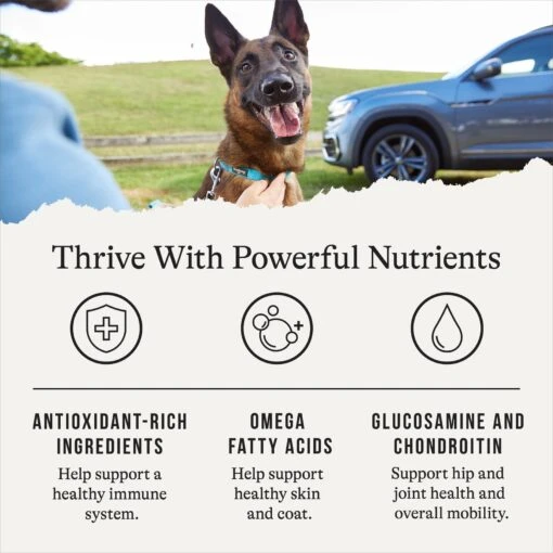 American Journey Protein & Grains Senior Chicken, Brown Rice & Vegetables Recipe Dry Dog Food -Dog Supplies 153933 PT4. AC SS1800 V1668736315