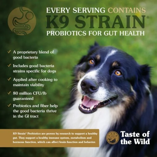 Taste Of The Wild Sierra Mountain Grain-Free Dry Dog Food -Dog Supplies 154552 PT4. AC SS1800 V1658283474