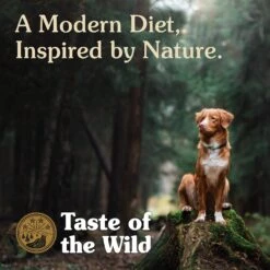 Taste Of The Wild Sierra Mountain Grain-Free Dry Dog Food -Dog Supplies 154552 PT5. AC SS1800 V1641264400