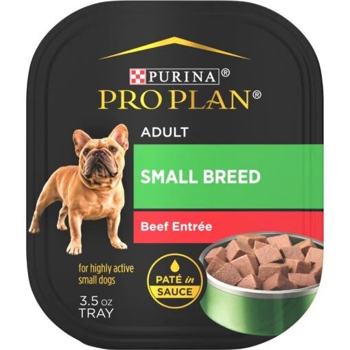 Purina Pro Plan Focus Small Breed Beef Entree Grain-Free Wet Dog Food -Dog Supplies 156343 MAIN. AC SS1800 V1669907937