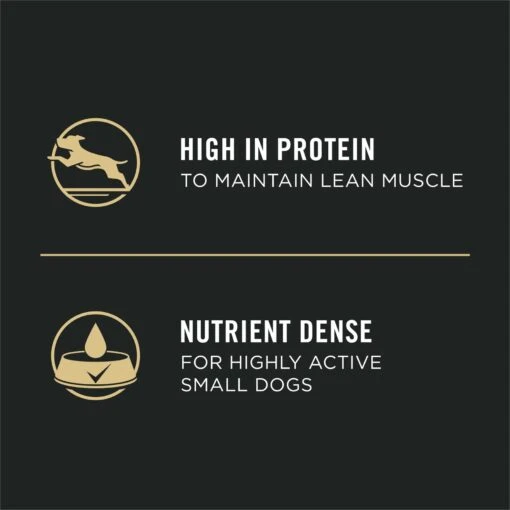 Purina Pro Plan Focus Small Breed Beef Entree Grain-Free Wet Dog Food -Dog Supplies 156343 PT2. AC SS1800 V1669909317