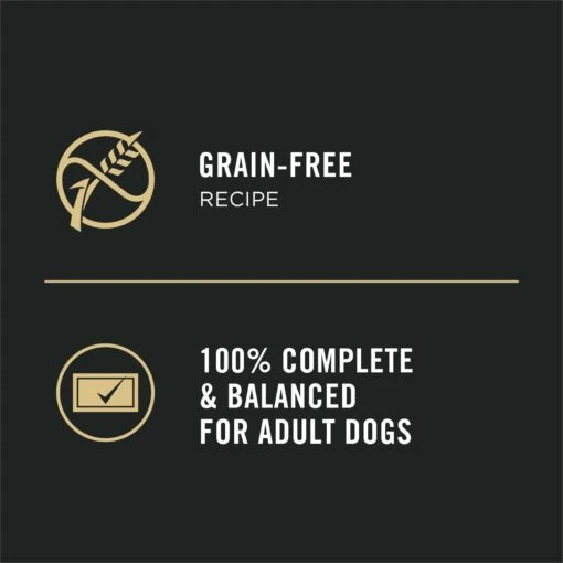 Purina Pro Plan Focus Small Breed Beef Entree Grain-Free Wet Dog Food -Dog Supplies 156343 PT3. AC SS1800 V1669909317