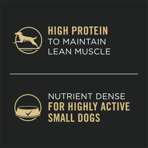 Purina Pro Plan Focus Small Breed Variety Pack Entree Grain-Free Wet Dog Food -Dog Supplies 156345 PT2. AC SS1800 V1669908524