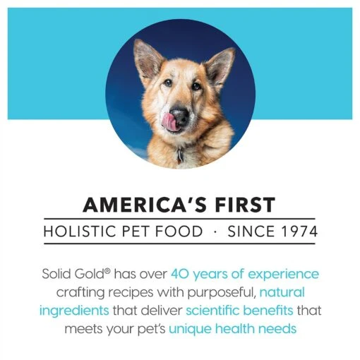 Solid Gold Fit & Fabulous Chicken, Sweet Potato & Green Bean Weight Control Recipe Grain-Free Canned Dog Food -Dog Supplies 157128 PT5. AC SS1800 V1547218976