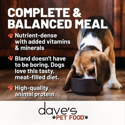 Dave's Pet Food 95% Premium Chicken & Chicken Liver Canned Dog Food -Dog Supplies 157469 PT6. AC SS1800 V1548270418