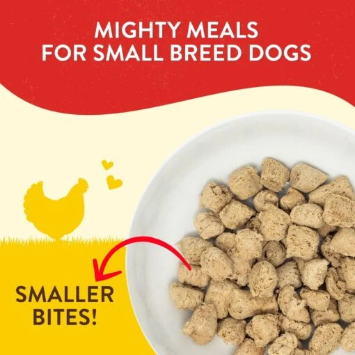 Stella & Chewy's Lil' Bites Chicken Little Recipe Small Breed Freeze-Dried Raw Dog Food -Dog Supplies 157725 PT1. AC SS1800 V1548194254