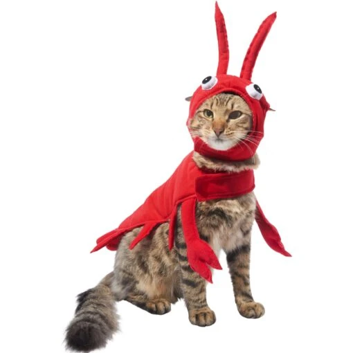 Frisco Red Lobster Dog & Cat Costume -Dog Supplies 158723 MAIN. AC SS1800 V1659023206