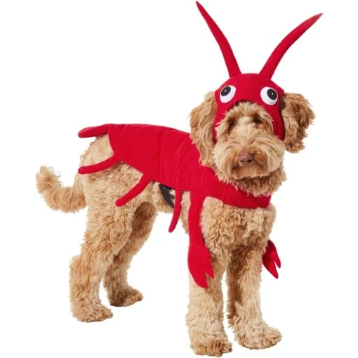 Frisco Red Lobster Dog & Cat Costume -Dog Supplies 158723 PT2. AC SS1800 V1659023725