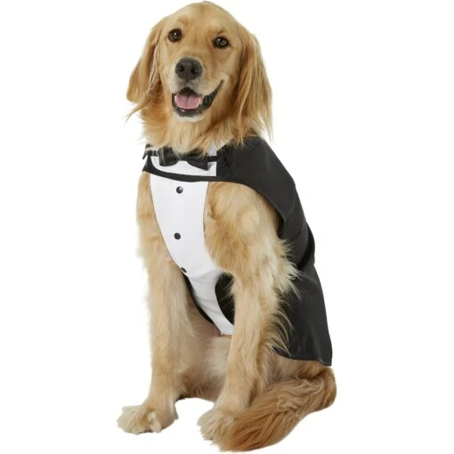 Frisco Formal Dog & Cat Tuxedo, Black -Dog Supplies 160819 Main. AC SS1800 V1564075074