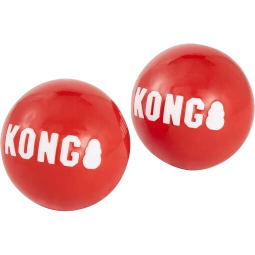 KONG Signature Balls Dog Toy, 2-pack -Dog Supplies 161861 MAIN. AC SS1800 V1605753127