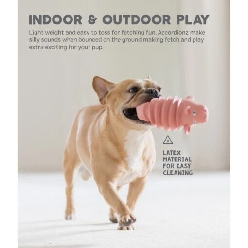 Outward Hound Accordionz Gator Stuffing-Free Squeaky Dog Toy -Dog Supplies 162058 PT3. AC SS1800 V1631680949