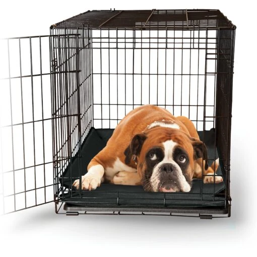 K&H Pet Products Odor-Control Dog Crate Pad -Dog Supplies 164054 MAIN. AC SS1800 V1626393761