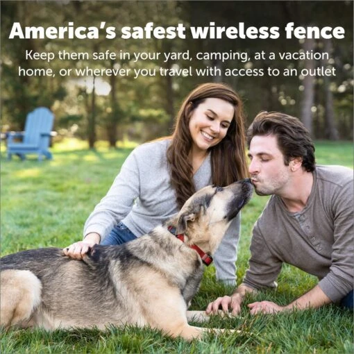 PetSafe Stay & Play Wireless Fence For Stubborn Dogs -Dog Supplies 166181 PT4. AC SS1800 V1685726944