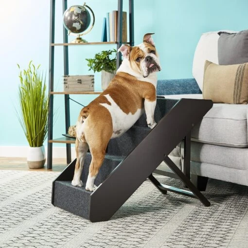 Arf Pets Foldable Dog & Cat Stairs, Black -Dog Supplies 173269 MAIN. AC SS1800 V1569550978