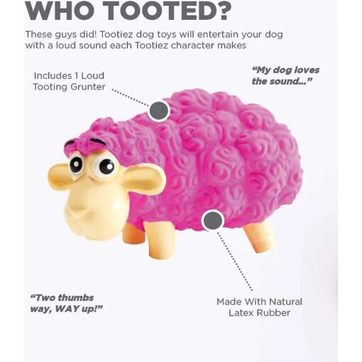 Outward Hound Tootiez Squeaky Stuffing-Free Dog Toy -Dog Supplies 173725 PT1. AC SS1800 V1636515419