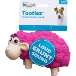 Outward Hound Tootiez Squeaky Stuffing-Free Dog Toy -Dog Supplies 173725 PT7. AC SS1800 V1636500086