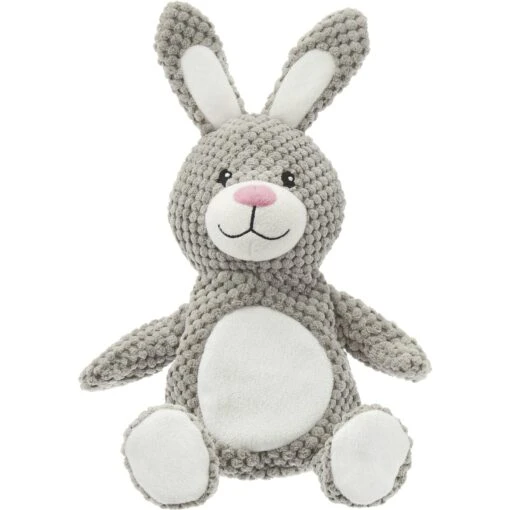 Frisco Bunny Textured Plush Squeaky Dog Toy -Dog Supplies 174693 Main. AC SS1800 V1572616373