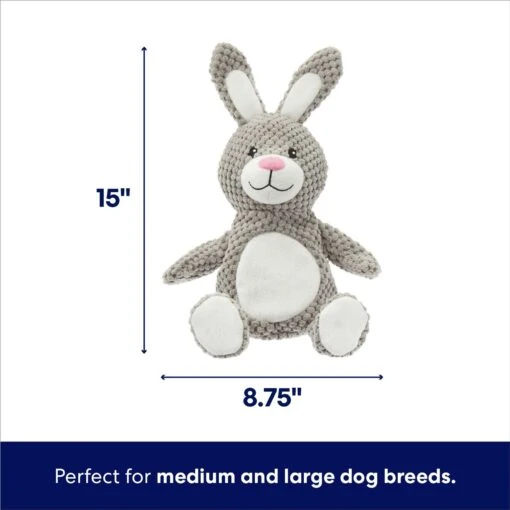 Frisco Bunny Textured Plush Squeaky Dog Toy -Dog Supplies 174693 PT1. AC SS1800 V1695659153