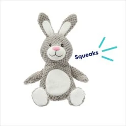 Frisco Bunny Textured Plush Squeaky Dog Toy -Dog Supplies 174693 PT2. AC SS1800 V1695670750