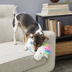 Frisco Unicorn Textured Plush Squeaky Dog Toy -Dog Supplies 174699 PT2. AC SS1800 V1573492386