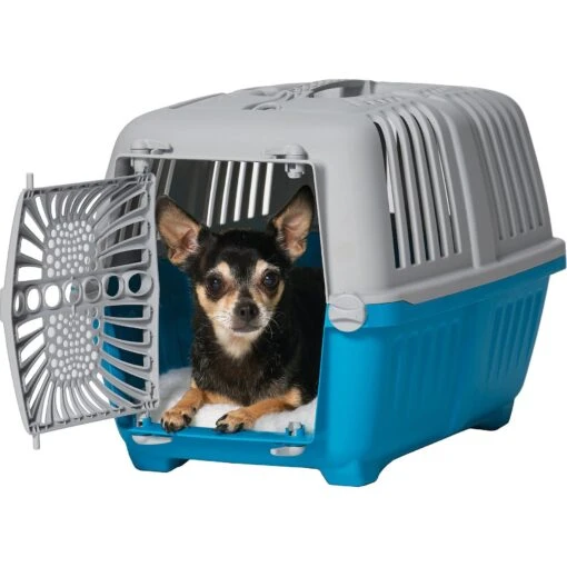 MidWest Spree Hard-Sided Dog & Cat Kennel -Dog Supplies 176504 MAIN. AC SS1800 V1559591581