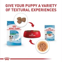 Royal Canin Size Health Nutrition Small Puppy Chunks In Gravy Dog Food Pouch -Dog Supplies 181592 PT5. AC SS1800 V1697213407