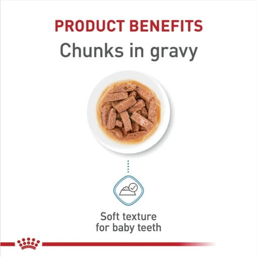 Royal Canin Size Health Nutrition Large Puppy Chunks In Gravy Dog Food Pouch, 4.9-oz, Case Of 10 -Dog Supplies 181596 PT3. AC SS1800 V1697216723