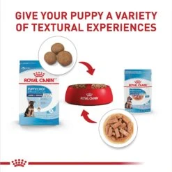 Royal Canin Size Health Nutrition Large Puppy Chunks In Gravy Dog Food Pouch, 4.9-oz, Case Of 10 -Dog Supplies 181596 PT5. AC SS1800 V1697213773