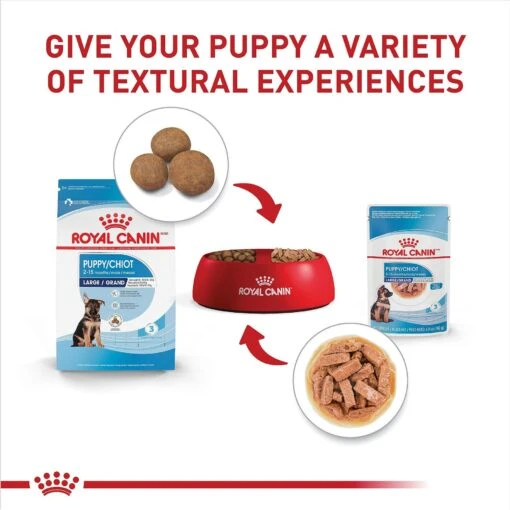 Royal Canin Size Health Nutrition Large Puppy Chunks In Gravy Dog Food Pouch, 4.9-oz, Case Of 10 -Dog Supplies 181596 PT5. AC SS1800 V1697213773