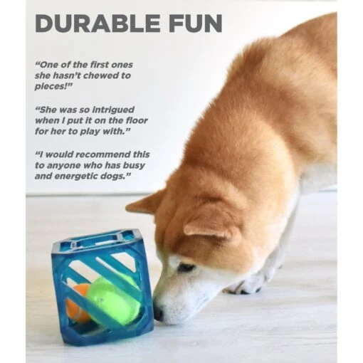 Outward Hound Puzzle Cube Interactive Dog Toy -Dog Supplies 190628 PT3. AC SS1800 V1636502633