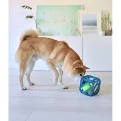 Outward Hound Puzzle Cube Interactive Dog Toy -Dog Supplies 190628 PT5. AC SS1800 V1636522349