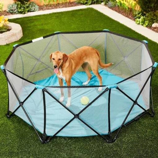 Regalo Pet Products My Play Portable Soft-sided Dog & Cat Playpen -Dog Supplies 192142 MAIN. AC SS1800 V1582318497