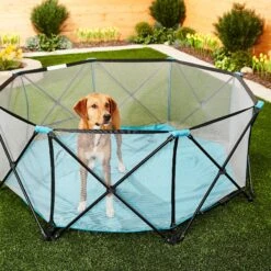 Regalo Pet Products My Play Portable Soft-sided Dog & Cat Playpen -Dog Supplies 192142 PT4. AC SS1800 V1582320084