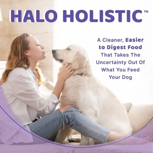 Halo Holistic Chicken Stew Adult Canned Dog Food -Dog Supplies 194483 PT2. AC SS1800 V1633482680