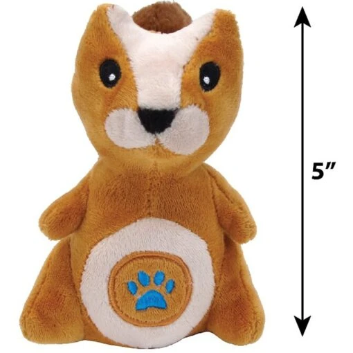 Li'l Pals Paw Plush Dog Toy -Dog Supplies 196054 PT8. AC SS1800 V1588626055