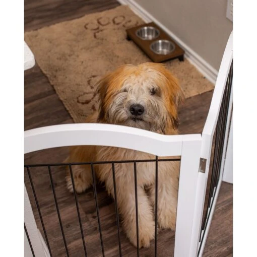 Internet's Best Arched Top Wire Dog Gate, 30-in -Dog Supplies 200429 PT4. AC SS1800 V1568308059