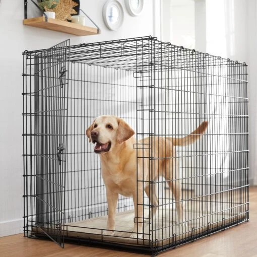 Frisco Heavy Duty Single Door Wire Dog Crate -Dog Supplies 210677 MAIN. AC SS1800 V1660404765