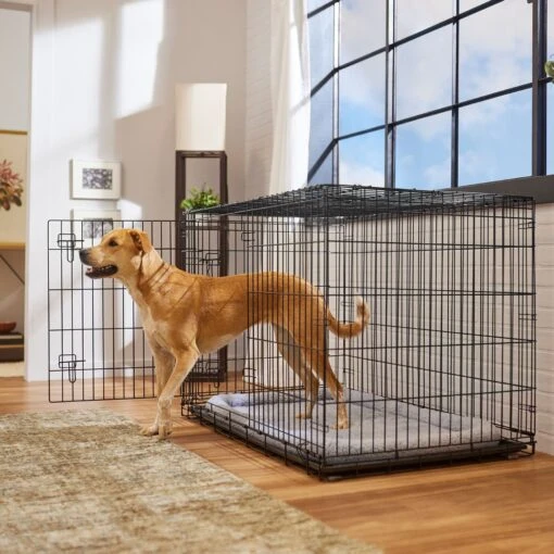 Frisco Heavy Duty Fold & Carry Double Door Collapsible Wire Dog Crate & Mat Kit -Dog Supplies 212618 MAIN. AC SS1800 V1667227320