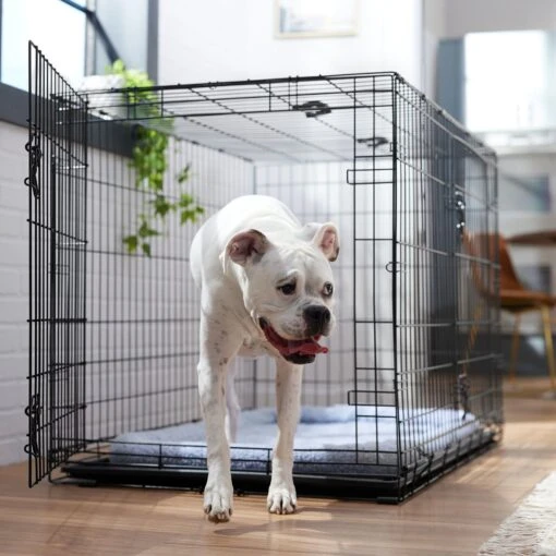 Frisco Fold & Carry Double Door Collapsible Wire Dog Crate & Mat Kit -Dog Supplies 212633 MAIN. AC SS1800 V1667228755