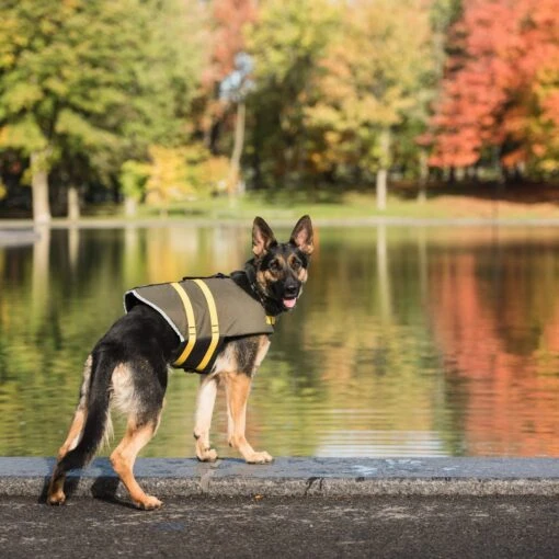 US ARMY Dog Life Vest, Dark Camo -Dog Supplies 215074 PT5. AC SS1800 V1605738741