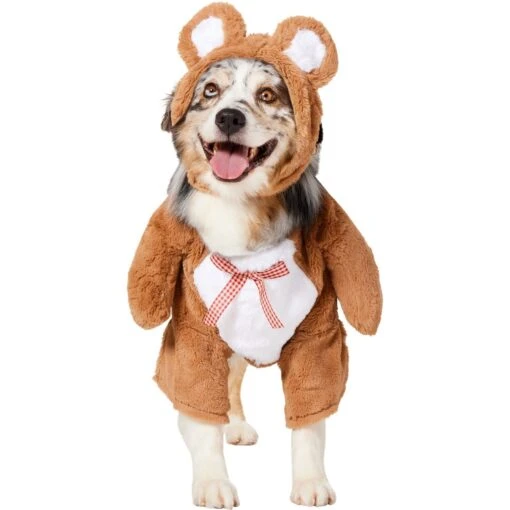 Frisco Front Walking Teddy Bear Dog & Cat Costume -Dog Supplies 215507 MAIN. AC SS1800 V1669148132