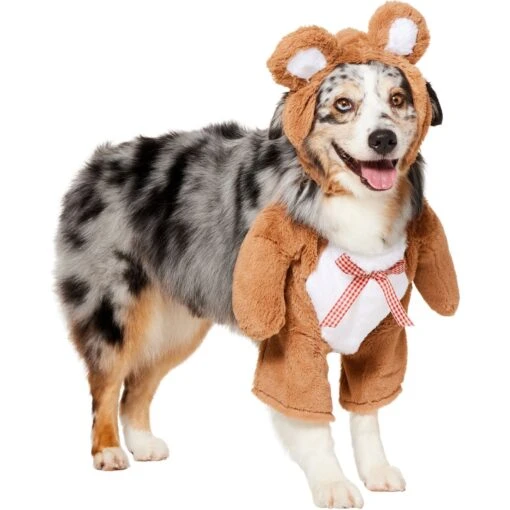 Frisco Front Walking Teddy Bear Dog & Cat Costume -Dog Supplies 215507 PT3. AC SS1800 V1624402415