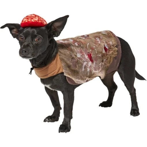 Frisco Zombie Dog & Cat Costume -Dog Supplies 215624 MAIN. AC SS1800 V1595615464