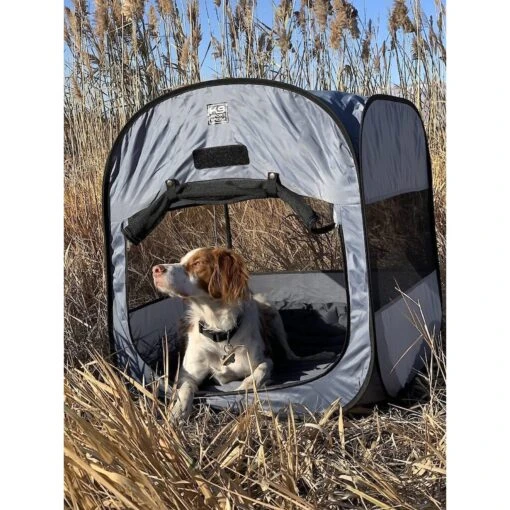 K9 Sport Sack Kennel Pop-Up Dog & Cat Tent, Grey -Dog Supplies 218850 PT5. AC SS1800 V1584457918