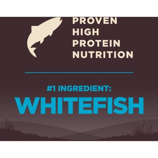 Wellness CORE Wholesome Grains Ocean Recipe High Protein Dry Dog Food -Dog Supplies 222320 PT4. AC SS1800 V1660152232