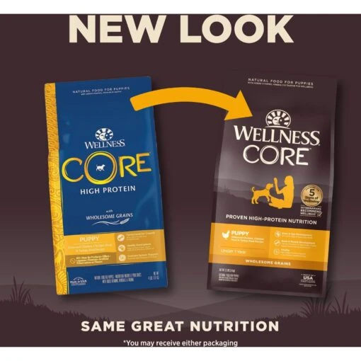 Wellness CORE Wholesome Grains Puppy High Protein Dry Dog Food -Dog Supplies 222326 PT1. AC SS1800 V1677612890