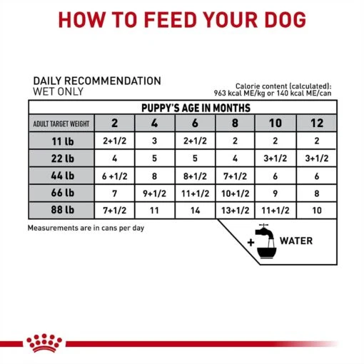 Royal Canin Veterinary Diet Puppy Gastrointestinal Ultra Soft Mousse In Sauce Canned Dog Food -Dog Supplies 228175 PT5. AC SS1800 V1692217025