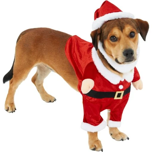 Frisco Front Walking Santa Dog & Cat Costume, 1 Count -Dog Supplies 228785 PT3. AC SS1800 V1631300866